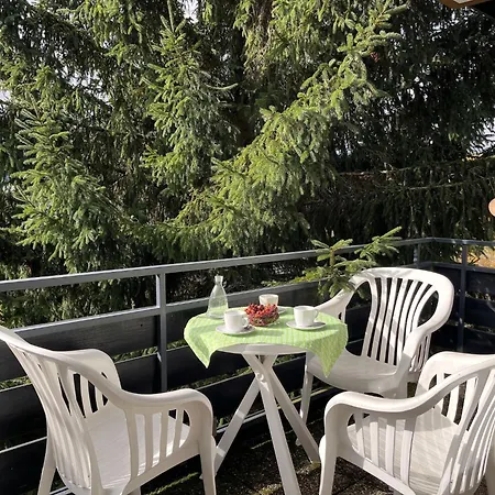 Sonnige Aussichten By Interhome Apartment Schluchsee