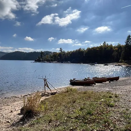 Sonnige Aussichten By Interhome * Schluchsee