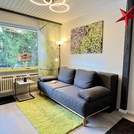 Sonnige Aussichten By Interhome Schluchsee