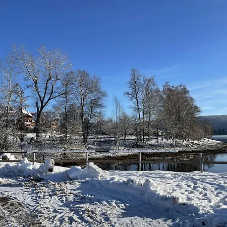 Apartamento Sonnige Aussichten By Interhome Schluchsee