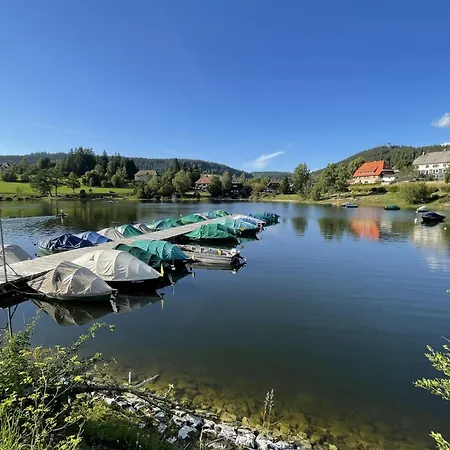 Sonnige Aussichten By Interhome * Schluchsee